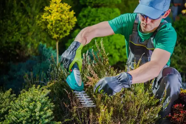 landscaping services Hailesboro
